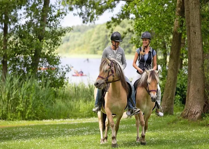 Mit Sauna Im Mirow *